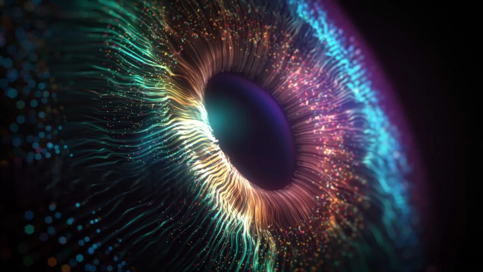 Our Vision