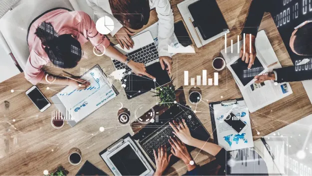 Brand identity visual
